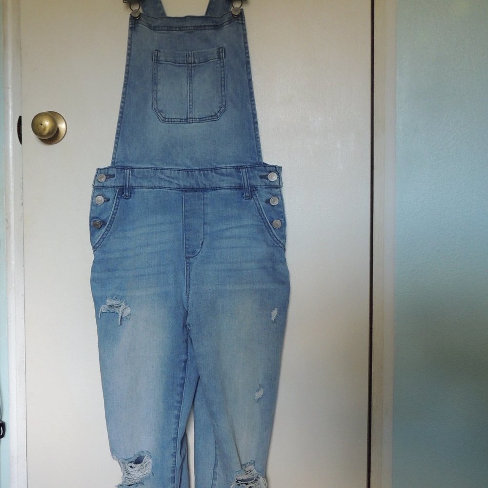 Sky & Sparrow Distressed Denim Overalls, medium, skinny fit